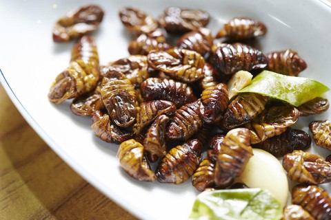 Beondegi is a korean dish made of boiled silkworm pupae