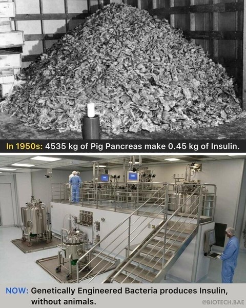 A lot is said about the miracle of biomanufactured insulin. But for most people with diabetes, it remains highly inaccessible