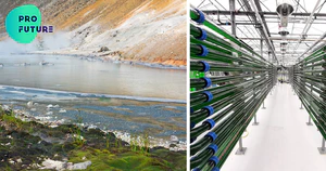 Right side: Production of Galdieria sulphuraria in a pilot tubular photobioreactor at AlgaePARC (Wageningen University and Research, The Netherlands); Left side: hot springs